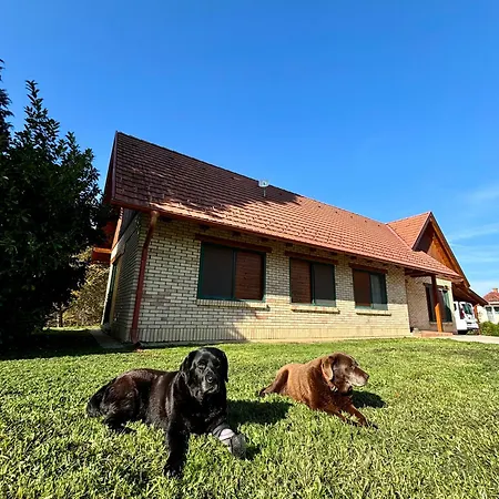 Apartman Apkó *